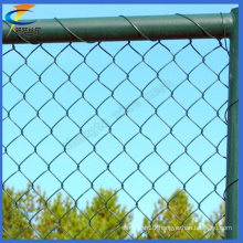 50 X50mm PVC Coated Chain Link Wire Mesh